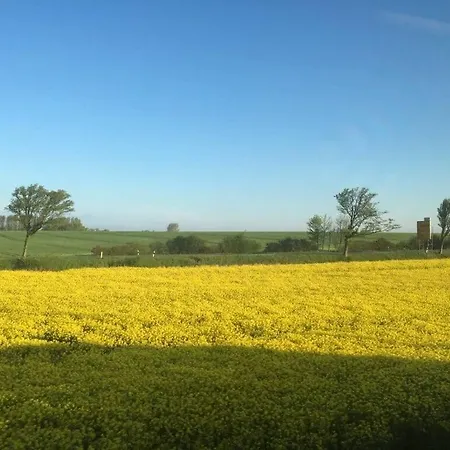 Seeschwalbe Comfortable Tatil Evi *