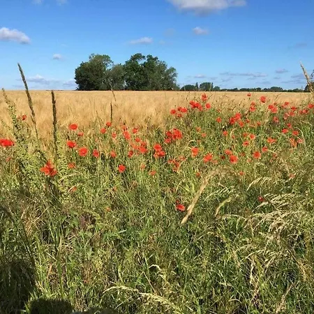 Seeschwalbe Comfortable Tatil Evi *